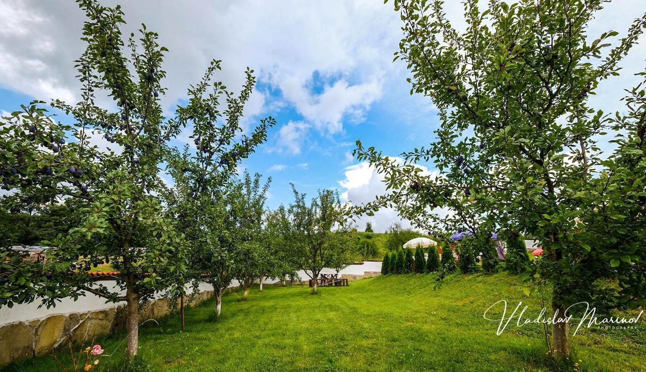 Bachvarovi Villas Trjawna Exterior foto